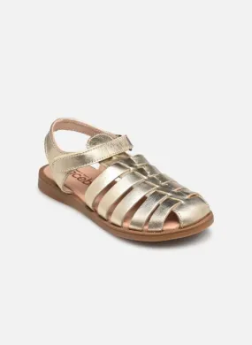      Acebo's 5726ET - Goud en brons   